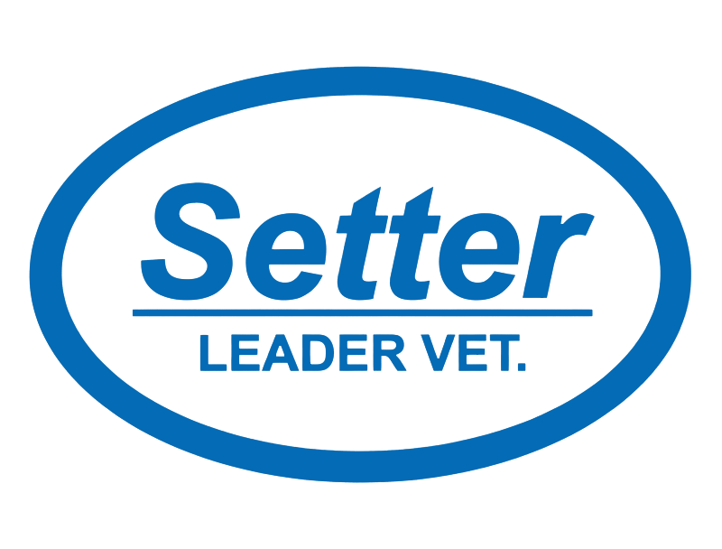 Setter Leader Vet.